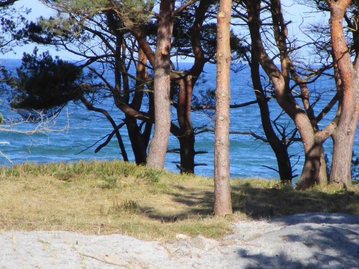 Strandapartment Kapitaen Prora Binz Εξωτερικό φωτογραφία